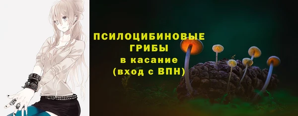 молекула духа Алексин