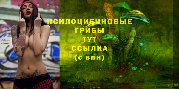индика Алексеевка