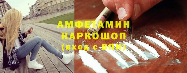 молекула духа Алексин
