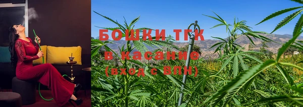 индика Алексеевка