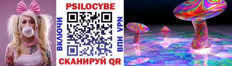 где можно купить   Салехард  Псилоцибиновые грибы Cubensis 